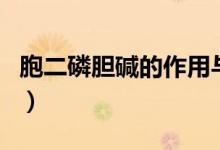 胞二磷膽堿的作用與危害（胞二磷膽堿的作用）