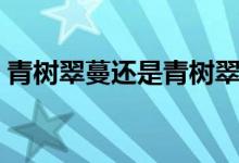 青樹翠蔓還是青樹翠蔓（青樹翠蔓什么意思）
