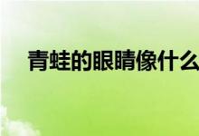青蛙的眼睛像什么（青蛙的腳印像什么）