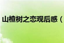 山楂樹之戀觀后感（看山楂樹之戀有感范文）