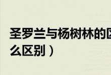 圣羅蘭與楊樹林的區(qū)別（楊樹林跟圣羅蘭有什么區(qū)別）