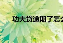 功夫貸逾期了怎么辦（功夫貸靠譜嗎）