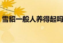 雪貂一般人養(yǎng)得起嗎（雪貂可以當(dāng)寵物養(yǎng)嗎）