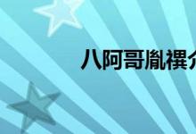 八阿哥胤禩介紹（胤禩講解）