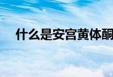 什么是安宮黃體酮（什么是安宮牛黃丸）