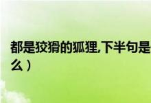 都是狡猾的狐貍,下半句是什么（一只狡猾的狐貍下一句是什么）