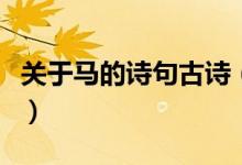 關(guān)于馬的詩句古詩（關(guān)于馬的詩句古詩有哪些）