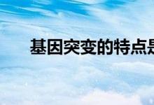 基因突變的特點是什么（有哪些類型）