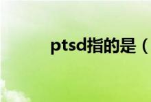 ptsd指的是（ptsd指的是什么）
