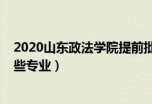 2020山東政法學(xué)院提前批專業(yè)（2022年山東政法學(xué)院有哪些專業(yè)）