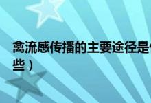 禽流感傳播的主要途徑是什么（禽流感傳播的主要途徑有哪些）