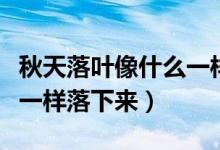 秋天落葉像什么一樣落下來（秋天落葉像什么一樣落下來）