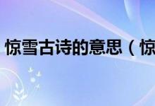 驚雪古詩的意思（驚雪這個(gè)詞語是什么意思）