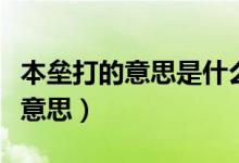 本壘打的意思是什么（安打和本壘打各是什么意思）