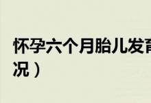 懷孕六個(gè)月胎兒發(fā)育（懷孕六個(gè)月胎兒發(fā)育情況）