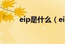 eip是什么（eip系統(tǒng)是什么意思）