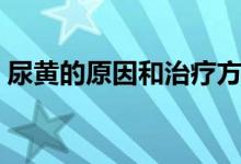 尿黃的原因和治療方法（尿黃的原因有哪些）
