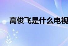 高俊飛是什么電視?。ㄖv述了什么故事）
