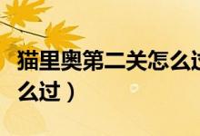 貓里奧第二關(guān)怎么過(guò)手機(jī)版（貓里奧第二關(guān)怎么過(guò)）