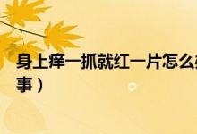 身上癢一抓就紅一片怎么辦（身上癢一抓就紅一片是怎么回事）