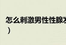 怎么刺激男性性腺發(fā)育（男性生殖器大小標(biāo)準(zhǔn)）