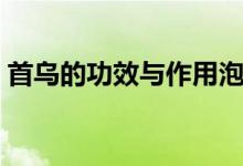 首烏的功效與作用泡酒（首烏的功效與作用）