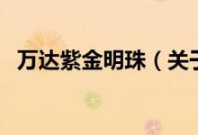 萬達(dá)紫金明珠（關(guān)于萬達(dá)紫金明珠的介紹）