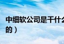 中細(xì)軟公司是干什么的（中細(xì)軟集團(tuán)是干什么的）
