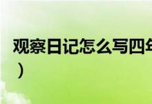 觀察日記怎么寫四年級（四年級觀察日記范文）