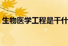 生物醫(yī)學(xué)工程是干什么的（就業(yè)方向有哪些）