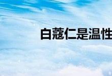 白蔻仁是溫性嗎（白蔻仁別名）