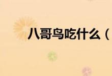 八哥鳥吃什么（八哥鳥吃什么介紹）