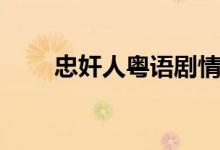 忠奸人粵語(yǔ)劇情（講的是什么故事）