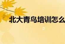 北大青鳥培訓怎么樣（學費一年多少錢）