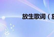 放生歌詞（放生歌詞是什么）