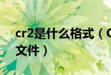 cr2是什么格式（CR2是佳能相機(jī)RAW格式文件）