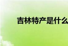 吉林特產(chǎn)是什么（關于吉林的特色）