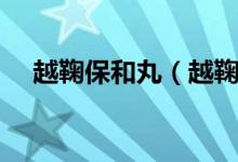 越鞠保和丸（越鞠保和丸的功效與作用）