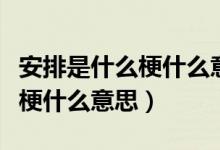 安排是什么梗什么意思網(wǎng)絡(luò)用語（安排是什么梗什么意思）