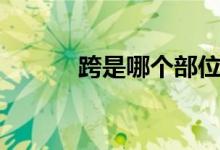 跨是哪個(gè)部位（跨是哪個(gè)部位）