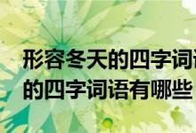 形容冬天的四字詞語aabb形式的（形容冬天的四字詞語有哪些）