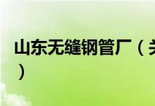 山東無縫鋼管廠（關(guān)于山東無縫鋼管廠的介紹）