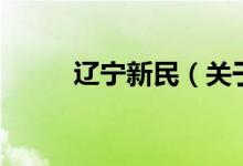 遼寧新民（關(guān)于遼寧新民的介紹）