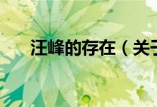 汪峰的存在（關(guān)于汪峰的存在的介紹）