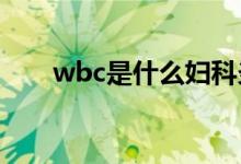 wbc是什么婦科炎癥（WBC是什么）
