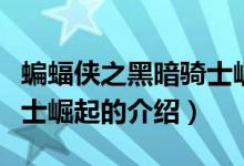 蝙蝠俠之黑暗騎士崛起（關(guān)于蝙蝠俠之黑暗騎士崛起的介紹）