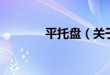 平托盤（關(guān)于平托盤的介紹）