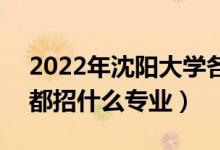 2022年沈陽大學(xué)各省招生計(jì)劃及招生人數(shù)（都招什么專業(yè)）