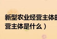 新型農(nóng)業(yè)經(jīng)營主體的內(nèi)容是什么（新型農(nóng)業(yè)經(jīng)營主體是什么）