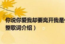 你說你愛我卻要離開我是什么歌（你說你愛我卻要離開我完整歌詞介紹）